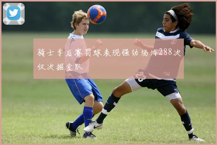 骑士季后赛罚球表现强劲场均288次仅次掘金队