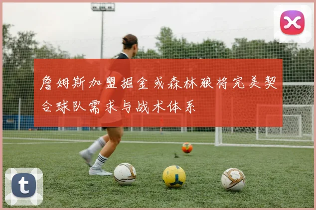 詹姆斯加盟掘金或森林狼将完美契合球队需求与战术体系